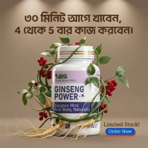 Ginseng Power Active Course (30 pcs)